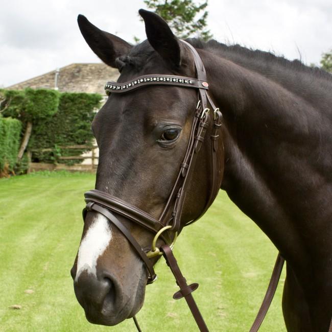 Whitaker Lynton Snaffle Bridle C/W Spare Browband Black Pony BR072 